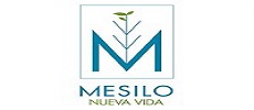 Nueva Vida at Mesilo Logo
